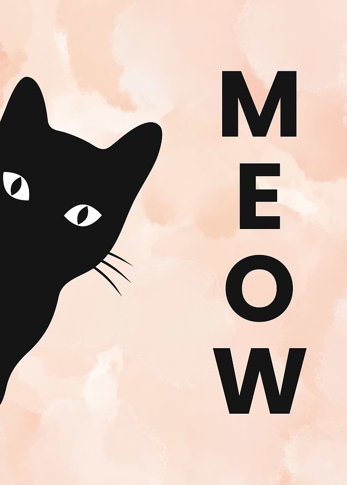 Black Cat Peeking Meow Art