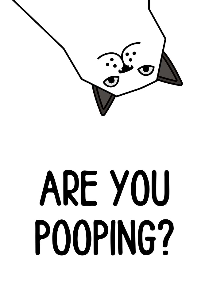 Funny Cat Question Art
