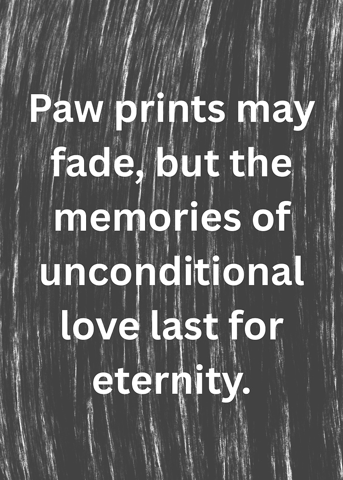 Paw Prints Unconditional Love Quote