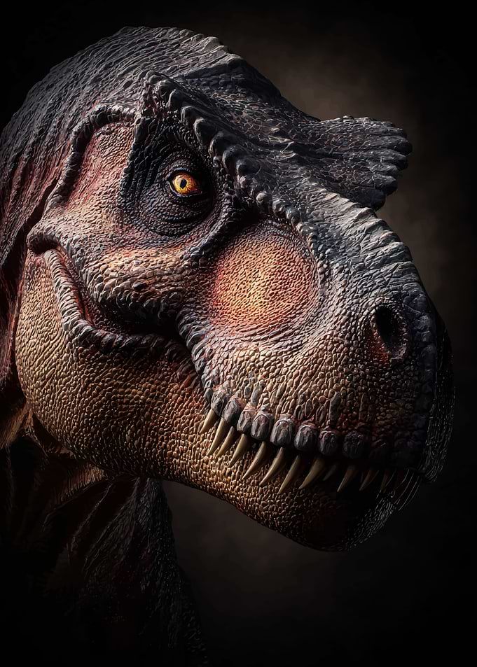 Tyrannosaurus Rex Head Portrait