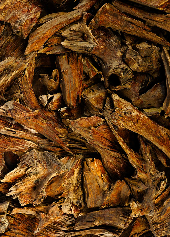 Pile of Agarwood Chips