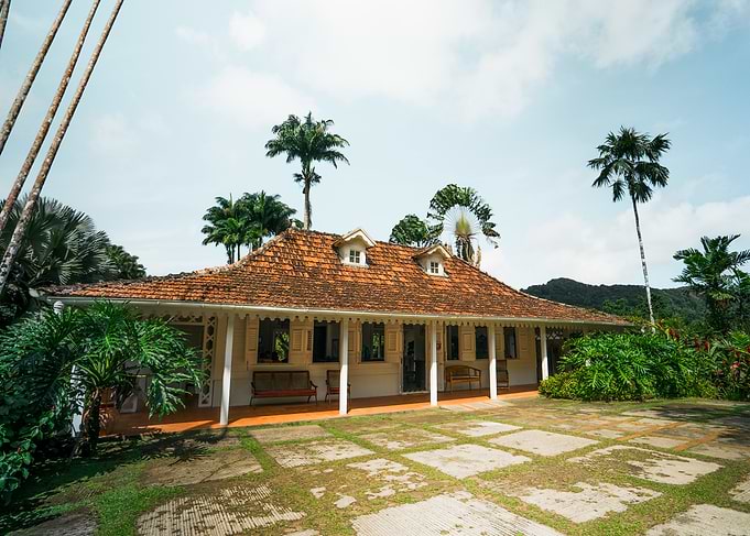 Tropical House with Palm Trees