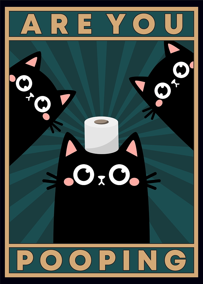 Are You Pooping? Cats and Toilet Paper