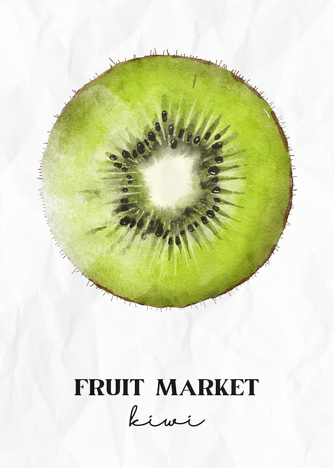 Kiwi Fruit Watercolor