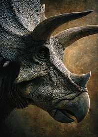 Triceratops Portrait: Prehistoric Majesty