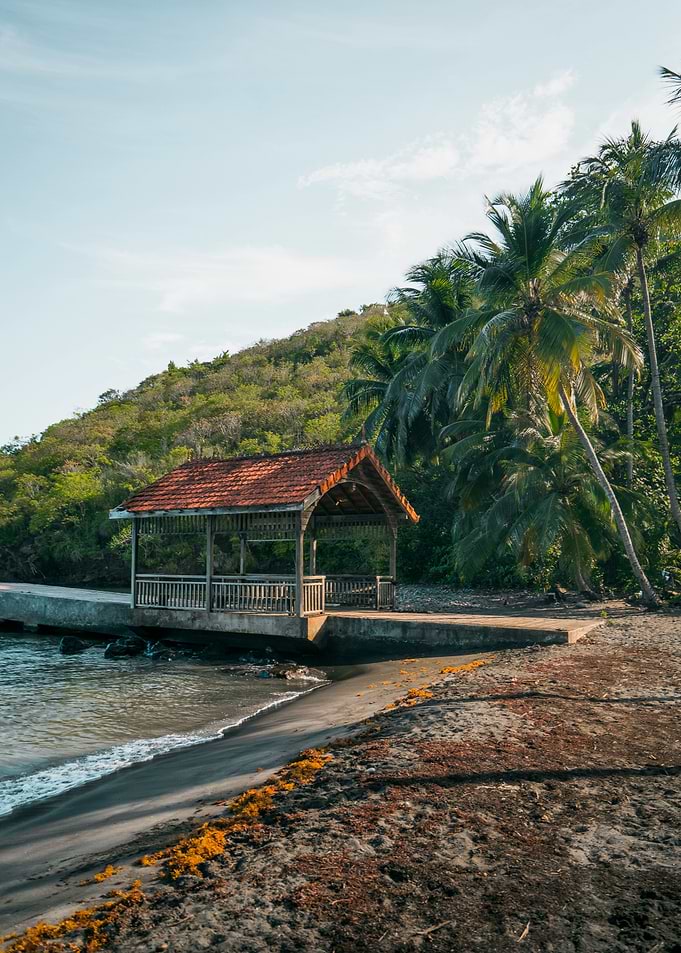 Tropical Beach Hut with Palm Trees