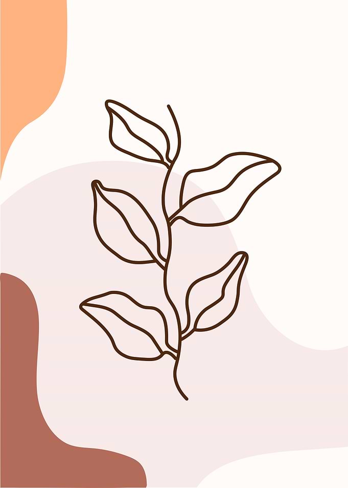 Minimalist Plant Line Art Illustration