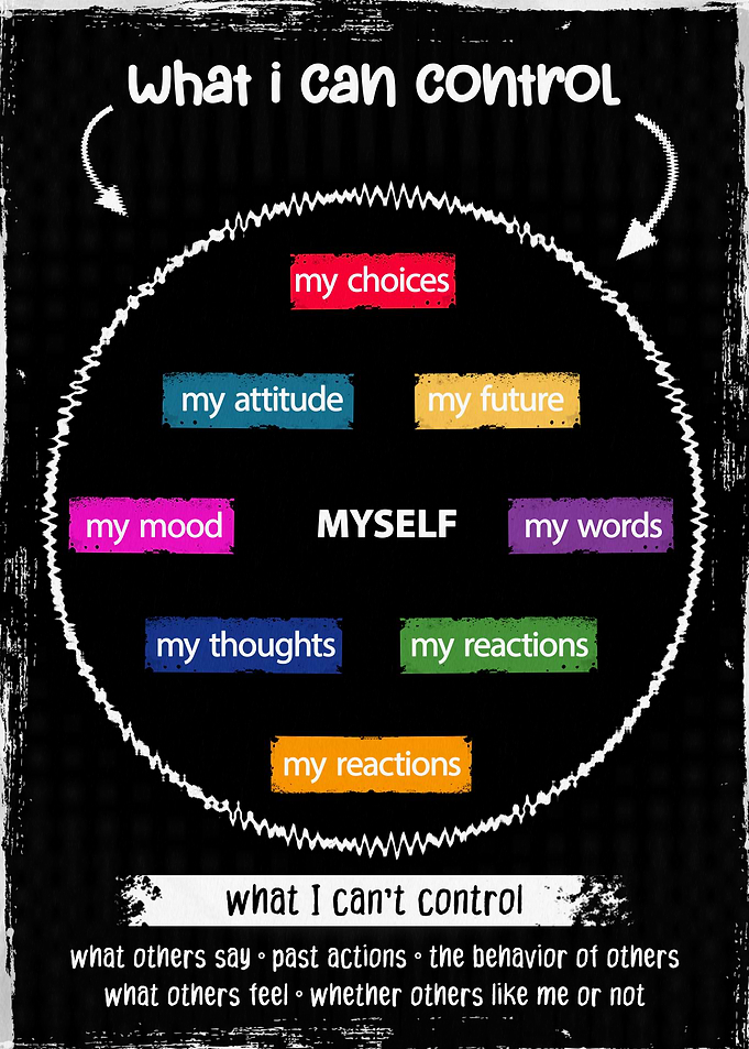 Control Circle: Choices and Reactions growth mindset, teens build resilience, powerful reminder, navigating challenges, proudly made, usa printed domestically, sturdy cardboard tubes, safe delivery