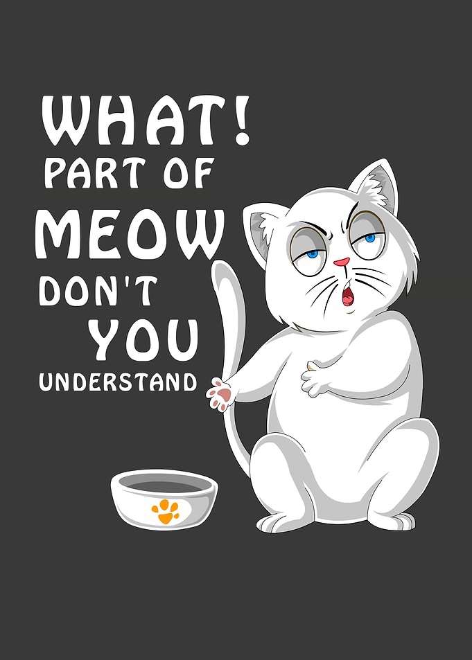 Funny Cat Meow Cartoon