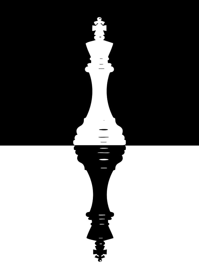 Chess King Reflection Black and White