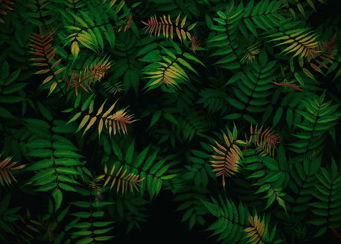 Lush Green and Brown Fern Pattern