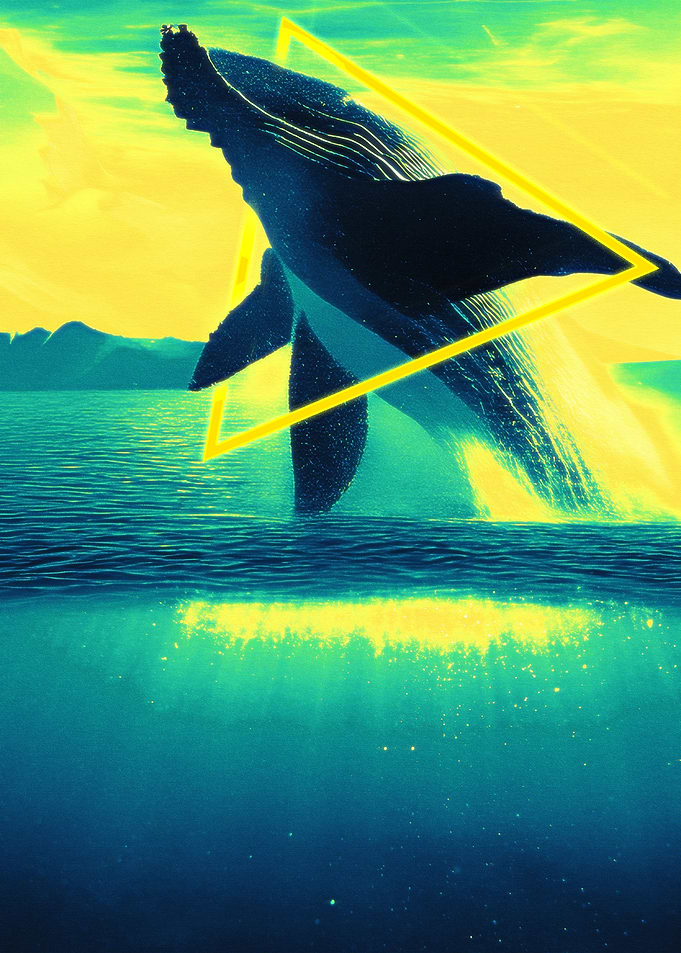 Whale breaching with geometric overlay