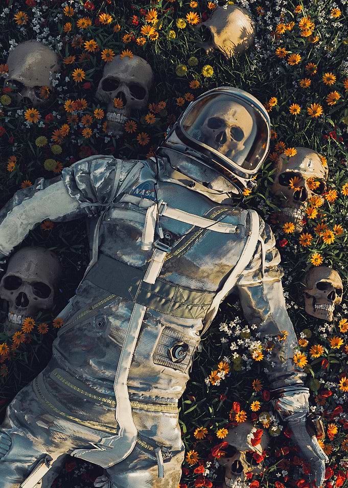 Astronaut Skeleton in Floral Field