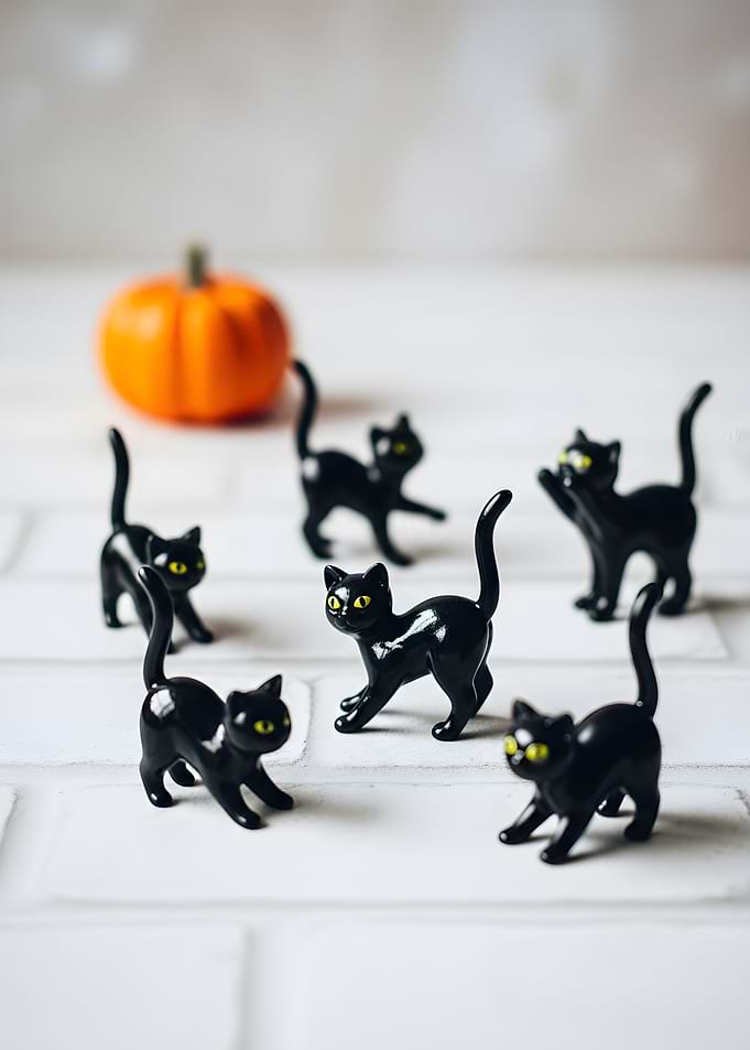 Halloween Cats and Pumpkin Still Life