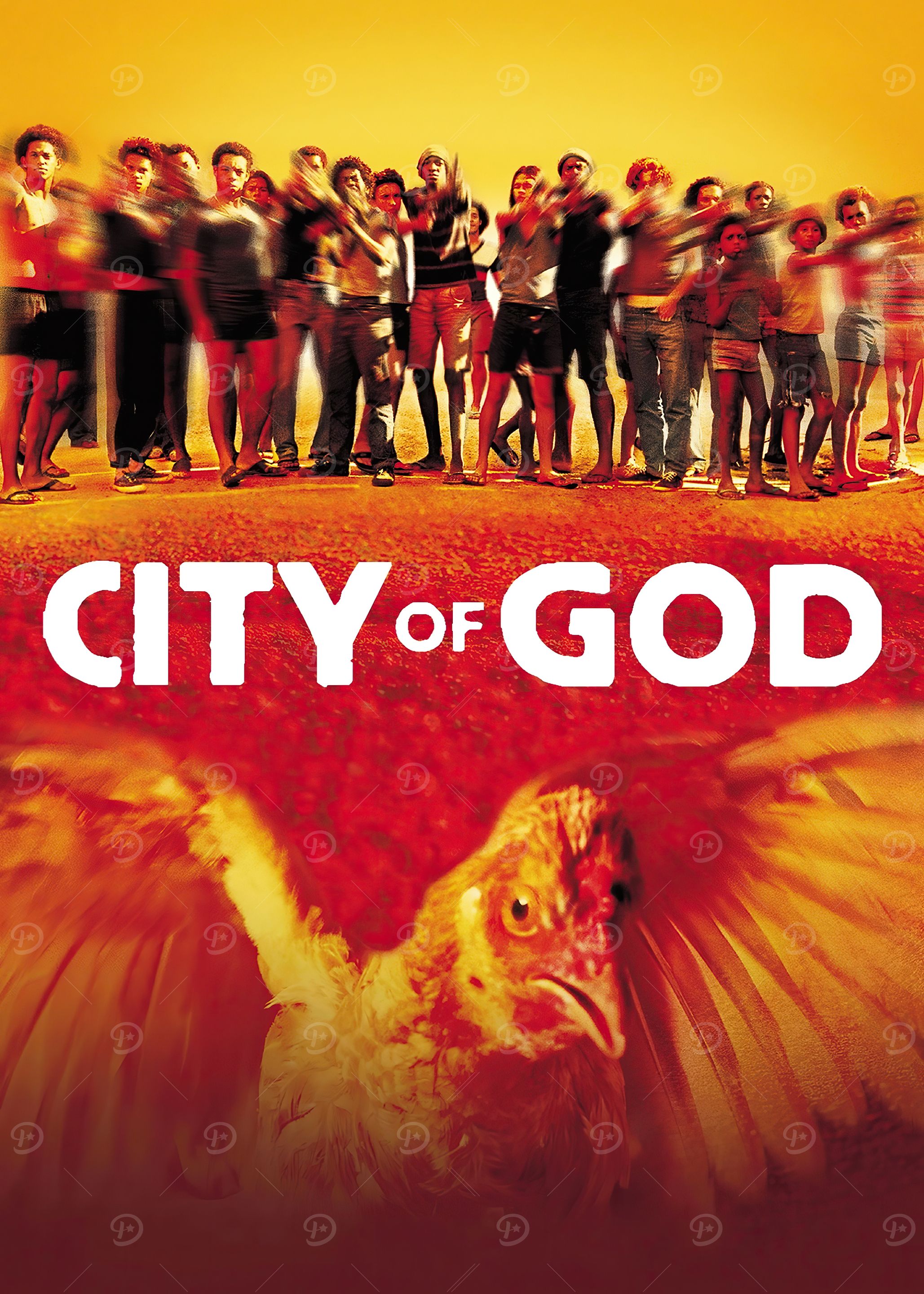 City of God Movie Poster
