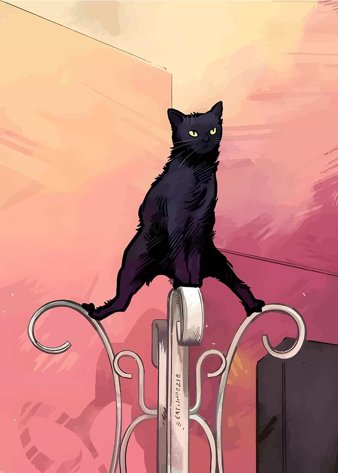 Black Cat on Metal Gate