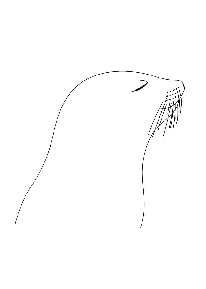 Minimalist Funny Seal Line Art