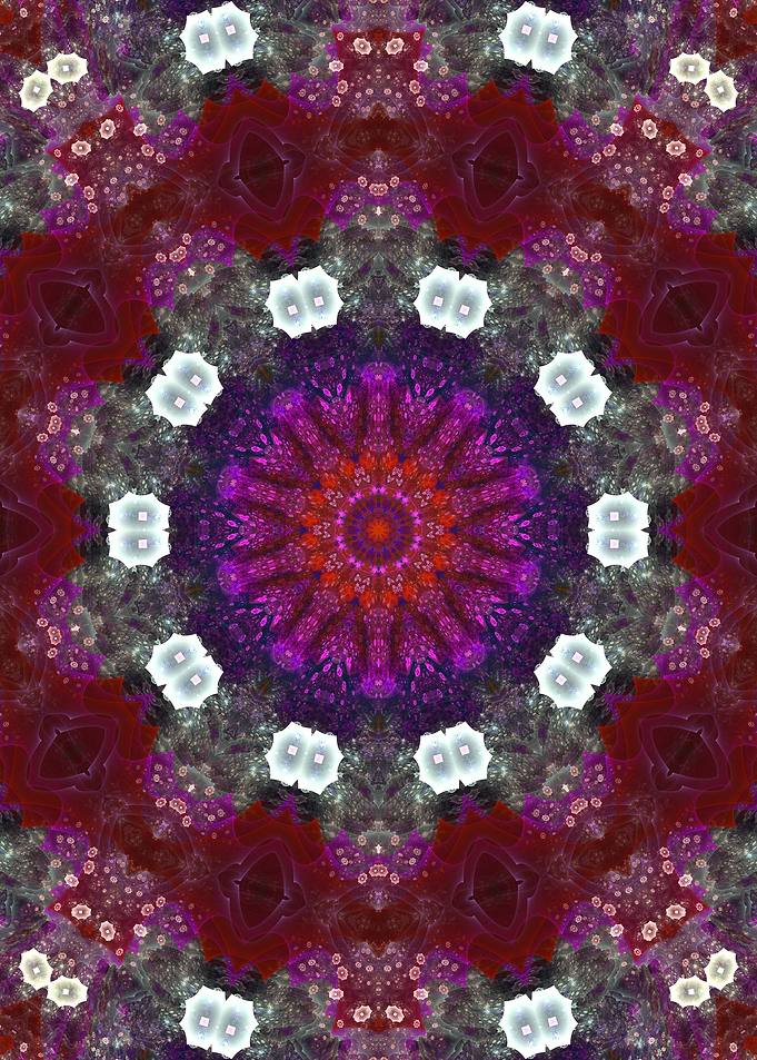 Painting the Flowers Red