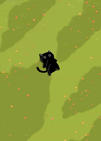 Black cat in a flower field