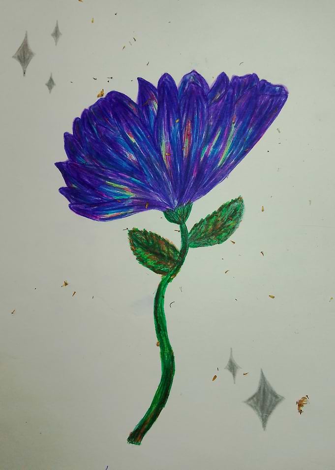 Blue Flower Drawing with Stars