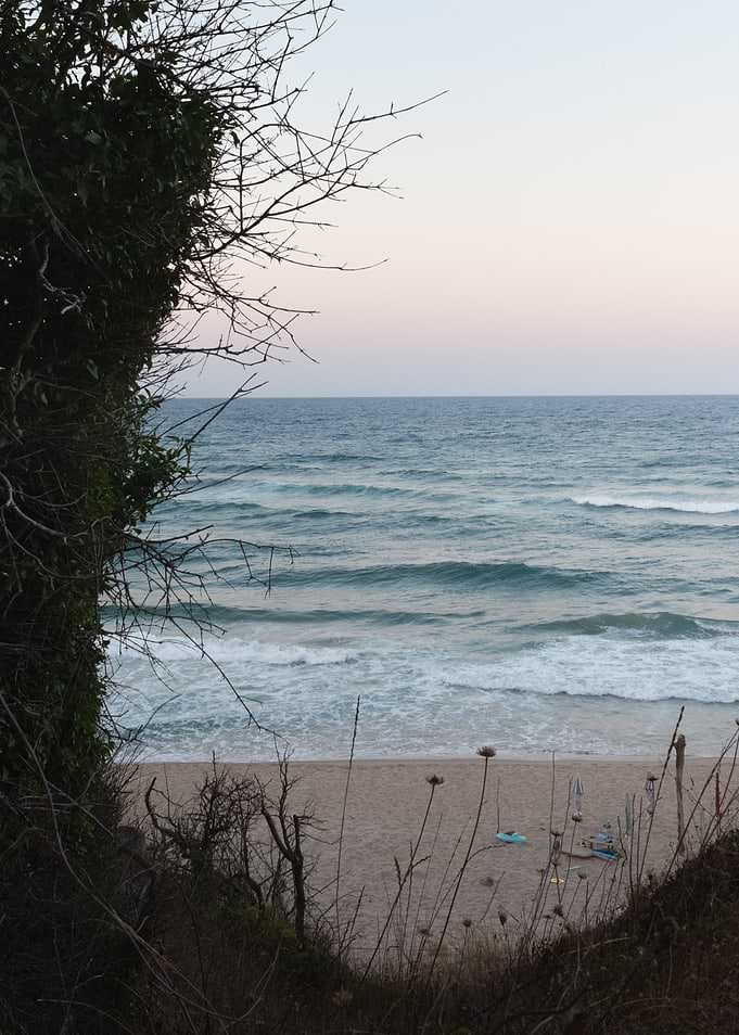 Pale Horizon