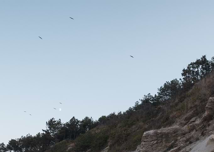 Evening Flight