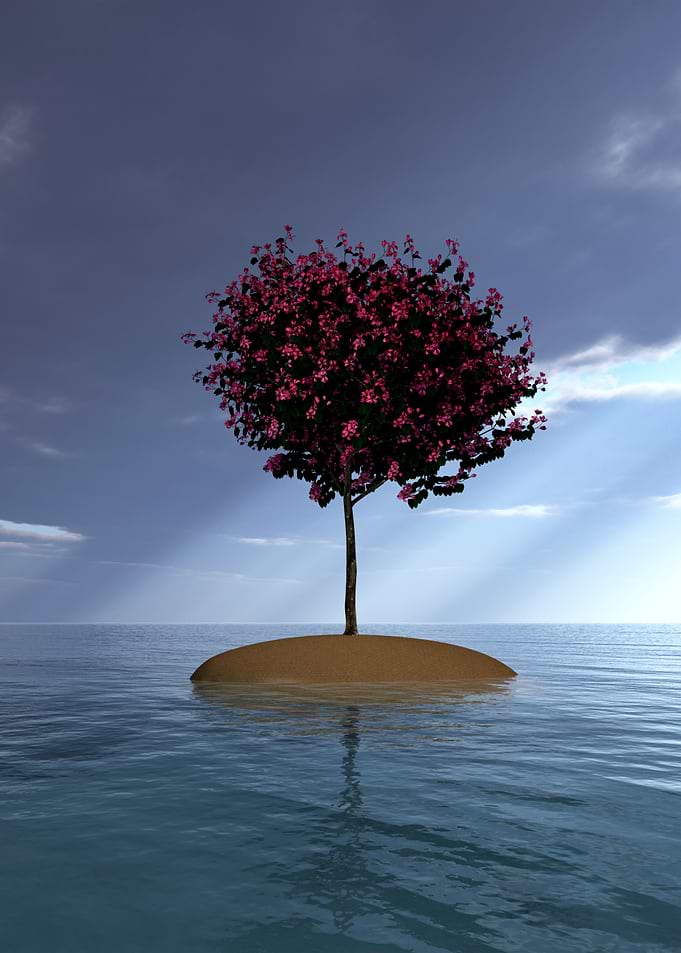 Tree on island in the ocean