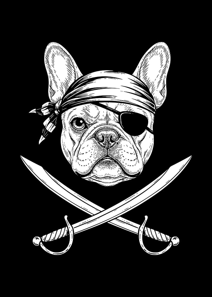 Pirate Dog with Swords