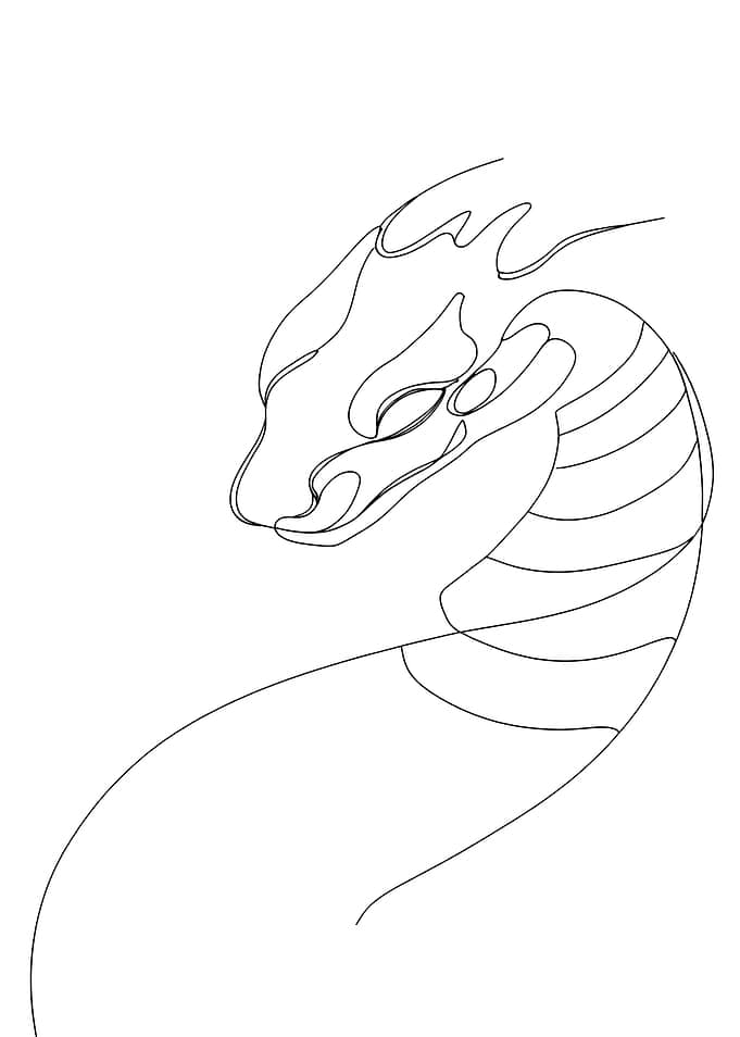 Minimalist Fantasy Dragon Line Art