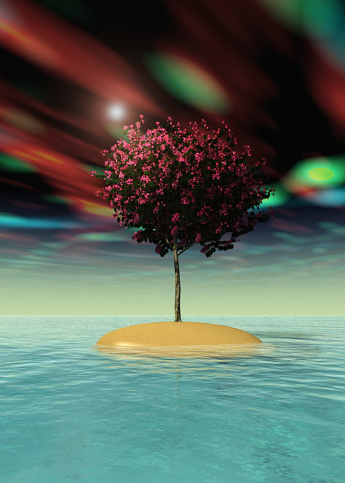 Tree on Island in Water