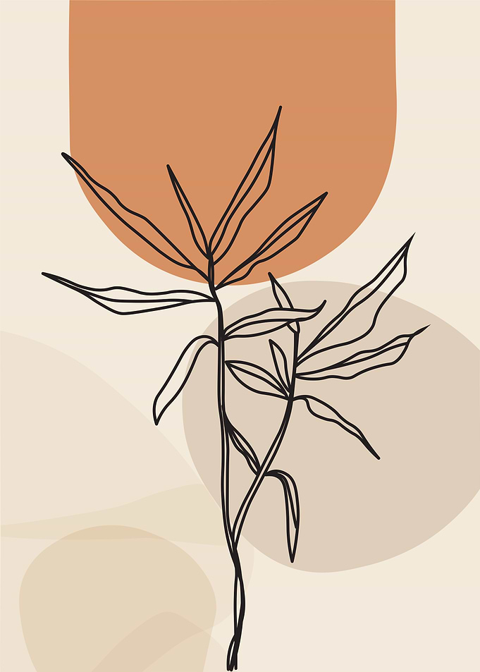 Minimalist Plant Line Art with Shapes