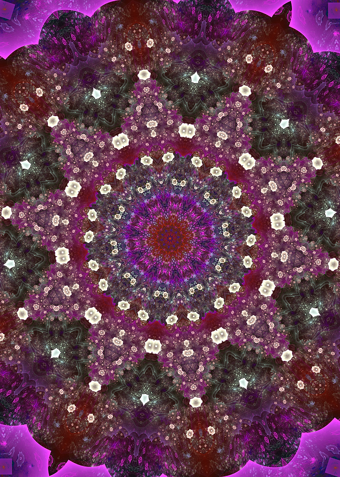 Snow Flowers