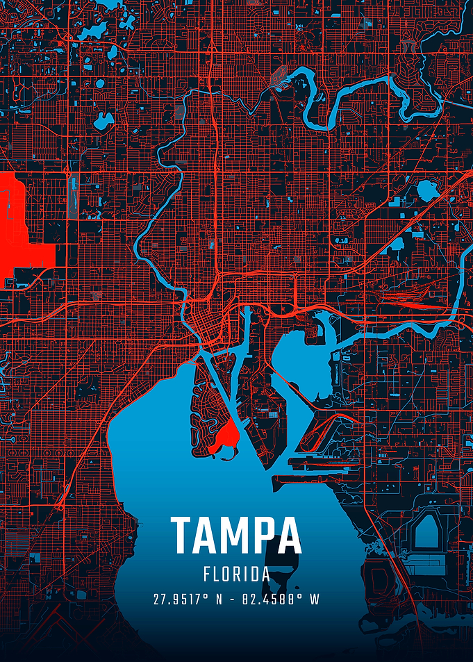 Tampa City Map