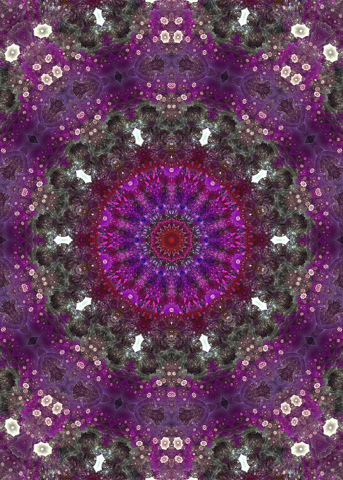 Bright Blooms