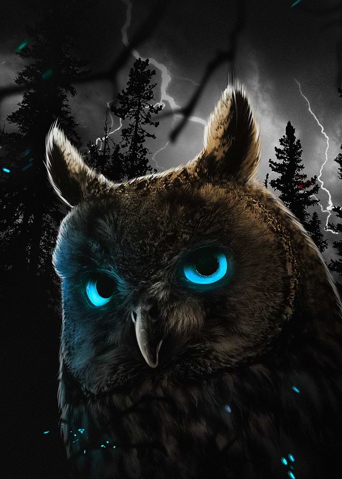 Owl with Glowing Eyes in Dark Forest