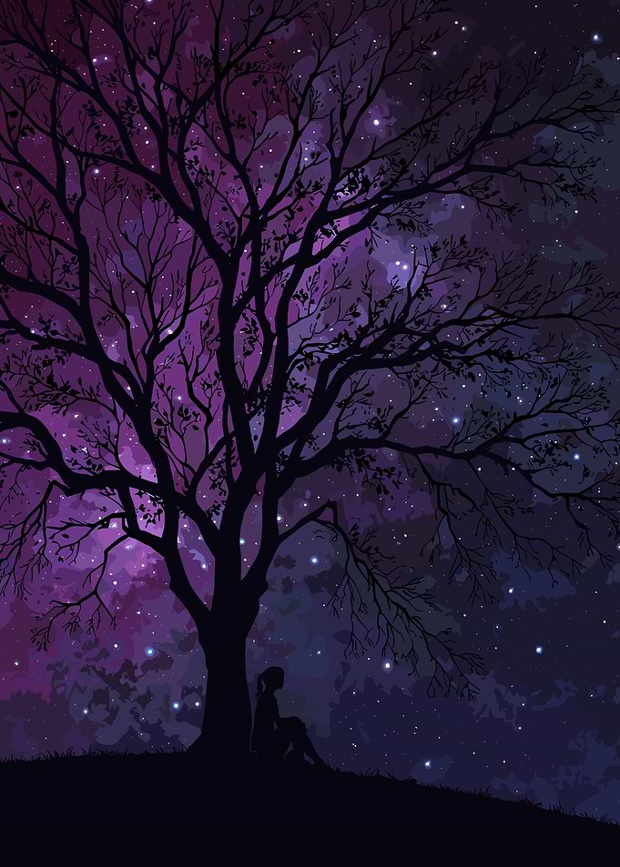 Silhouette under starry tree