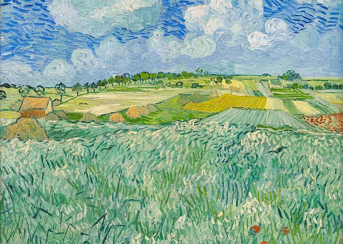 Wheat Fields with the Alpilles