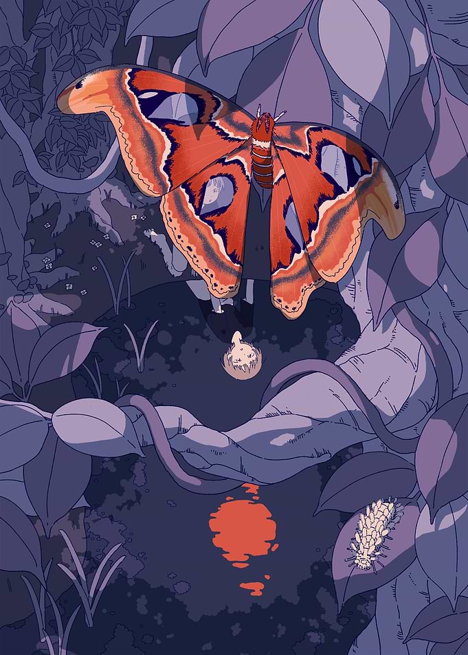 Atlas Moth in a Dreamy Forest