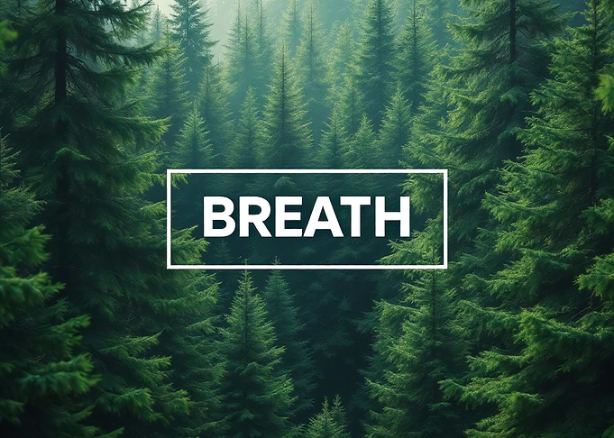 'Breath' Breathe in the Forest