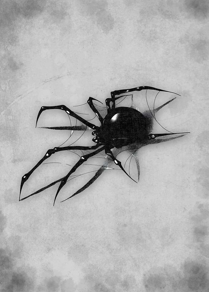 Monochrome Spider Illustration