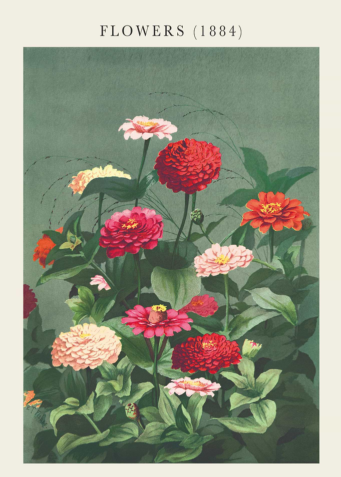 Flowers (1884) Vintage Botanical Art