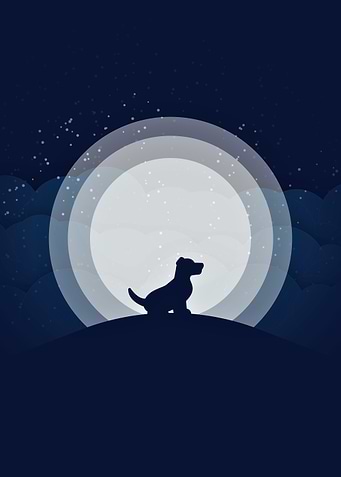 Dog Silhouette Moonlit Night Illustration