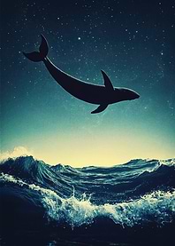 Whale in the starry sky