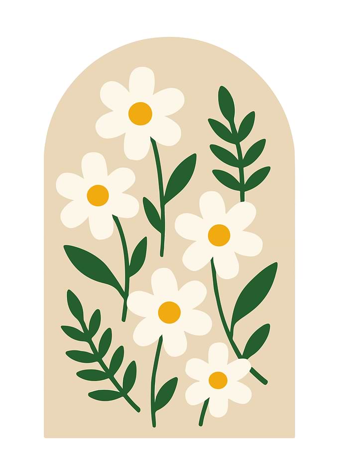 Daisy floral illustration in arch shape