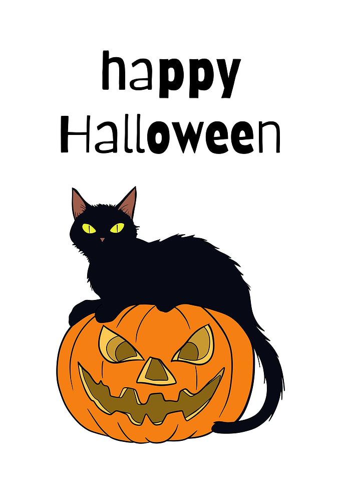 Happy Halloween Black Cat Pumpkin