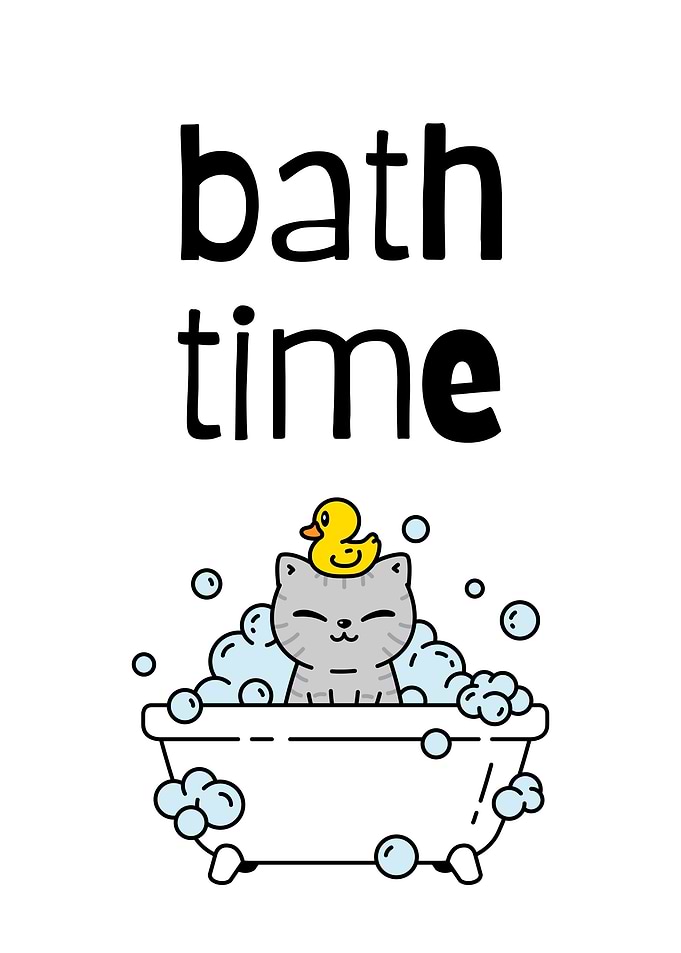 Cute Cat Bath Time