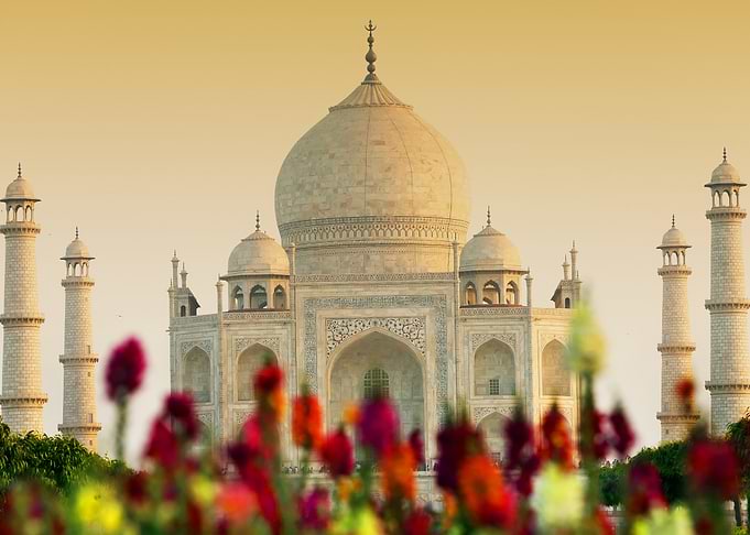 taj mahal with flowers