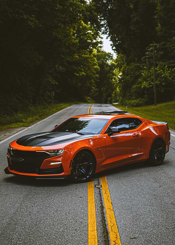 Orange Chevrolet Camaro on Forest Road