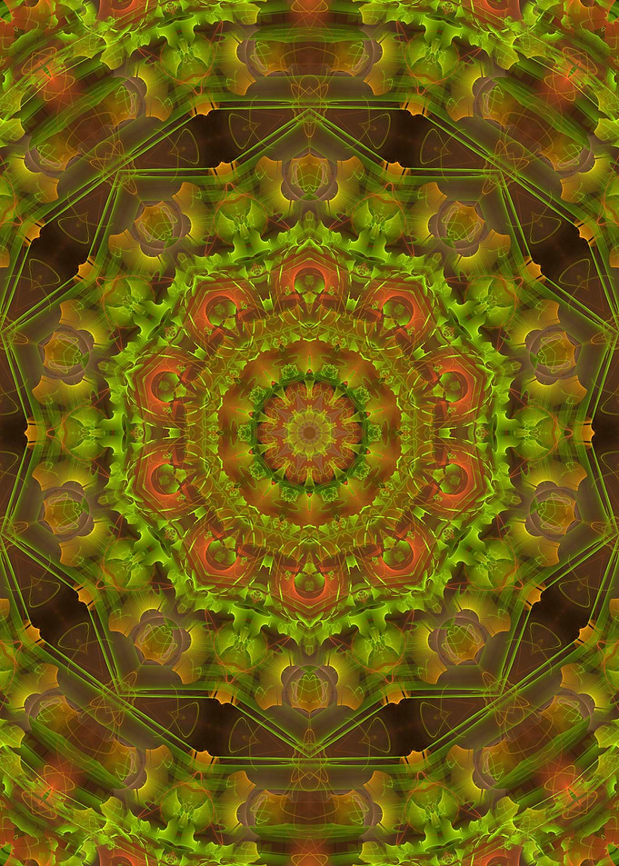Copper Fantasy