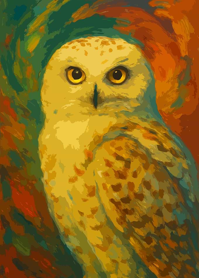 Snow Owl Portrait Painting Art